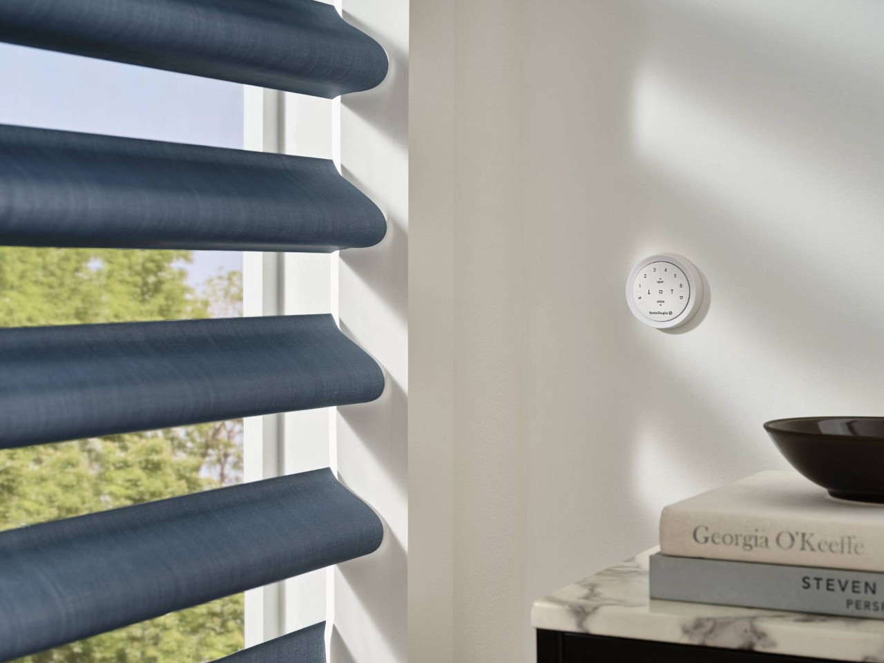 Hunter Douglas PowerView® Automation near Mount Pleasant, South Carolina (SC)
